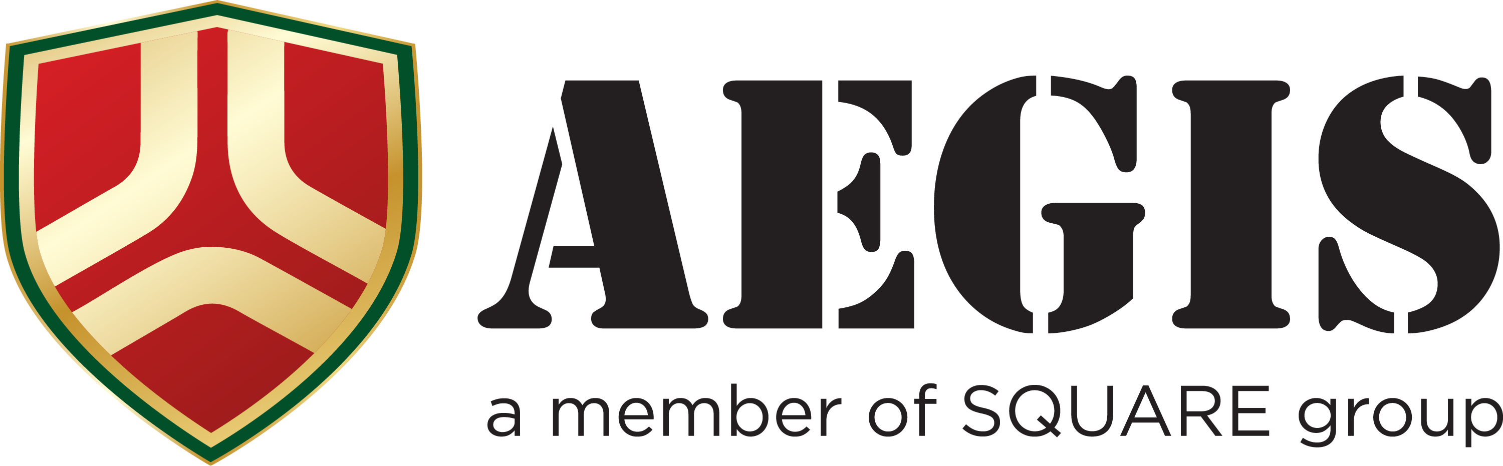 Aegis Corporation logo