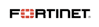 Fortinet Perimeter Auditing
