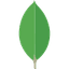 MongoDB